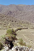 Colca Canyon